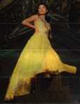 [Vanessa on steps of statue, wearing yellow gown]